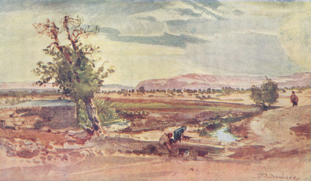 ISRAEL. The stream flowing from the spring of Elisha 1902 old antique print